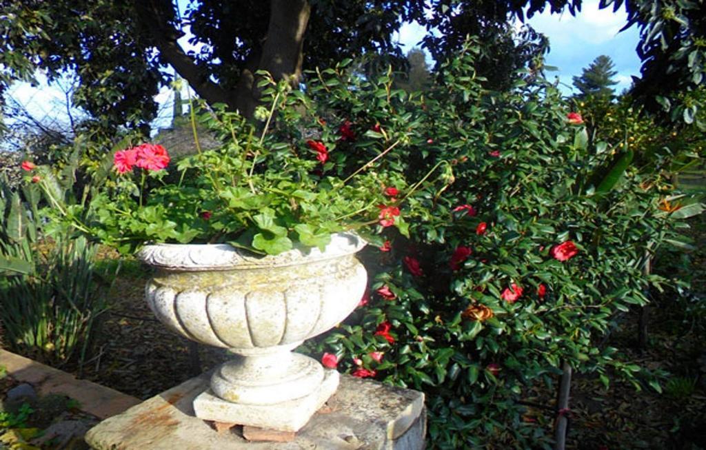 ジャッレ Baglio Delle Rose Bed & Breakfast エクステリア 写真