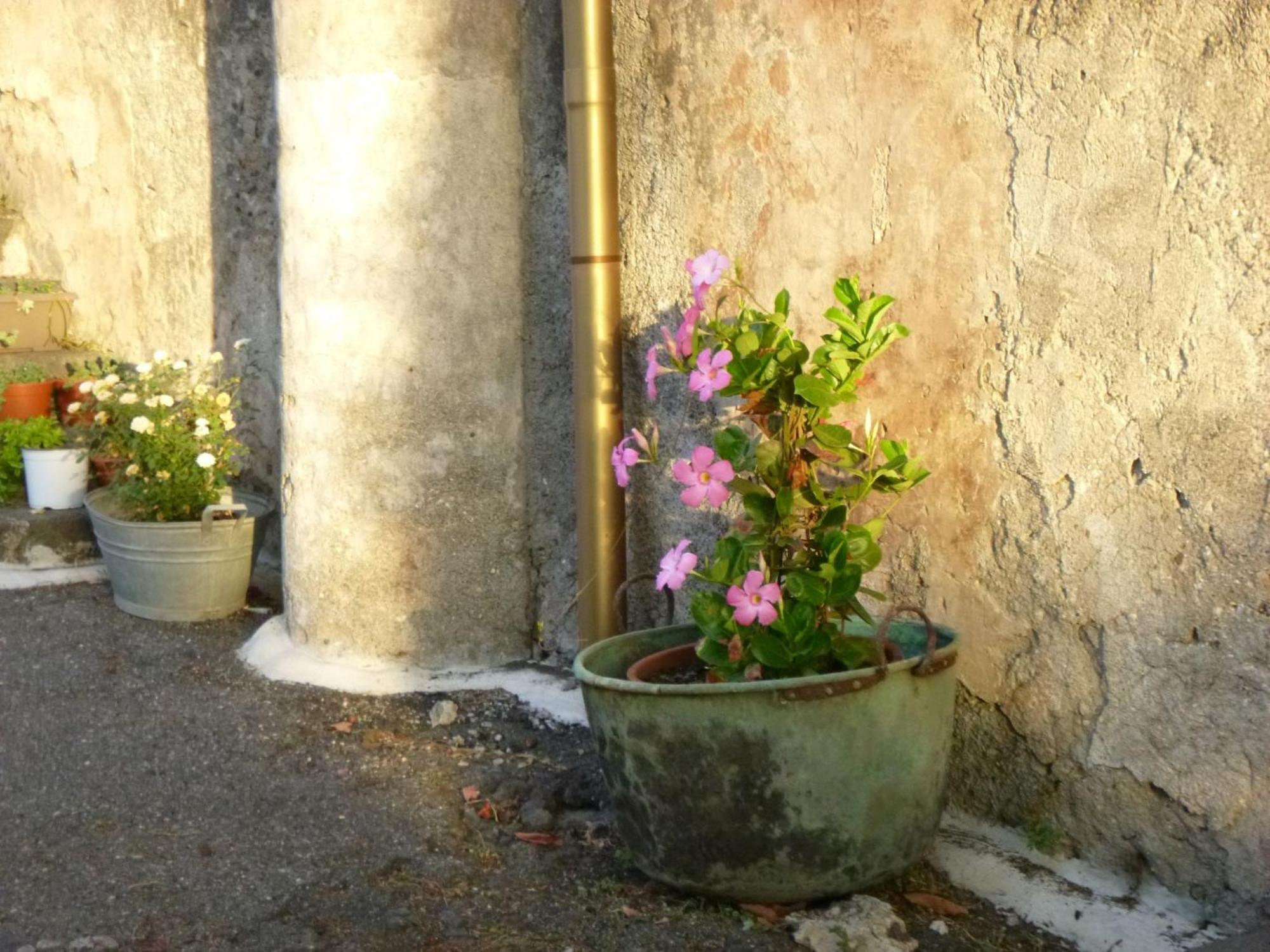 ジャッレ Baglio Delle Rose Bed & Breakfast エクステリア 写真